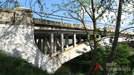 Paliūniškio tiltas. R. Naujoko nuotr., 2011 m.