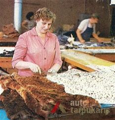 From soviet time leaflet of K. Giedrys name association for fur production. 
