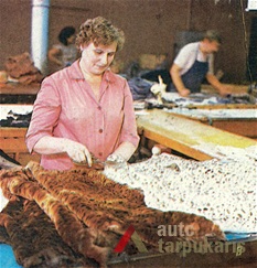 From soviet time leaflet of K. Giedrys name association for fur production.