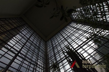 Orangery. 2013, P. T. Laurinaitis photo