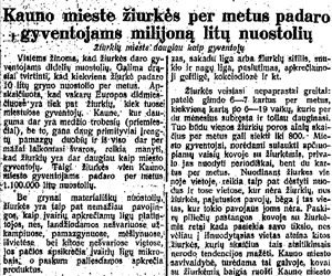 Kauno mieste žiurkės per metus padaro gyventojams milijoną litų nuostolių